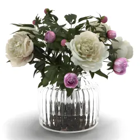 Cream peonies in ribbed glass vase